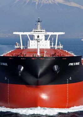 Bulk Carriers, Dry Cargo Ship - Bureau Veritas Marine ship Classification